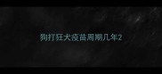 狗打狂犬疫苗周期几年