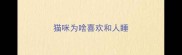 猫咪为啥喜欢和人睡