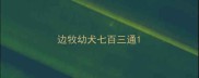 边牧幼犬七百三通
