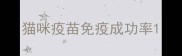 猫咪疫苗免疫成功率