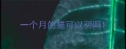 一个月的猫可以买吗