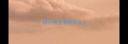 给小哈士奇吃什么