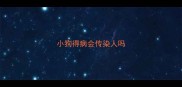 小狗得病会传染人吗