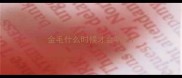 金毛什么时候才会听话