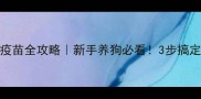 狗狗必打的疫苗全攻略新手养狗必看3步搞定疫苗接种清单