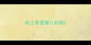 哈士奇是哪儿的狗