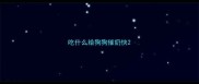 吃什么给狗狗催奶快