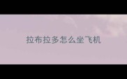 拉布拉多怎么坐飞机