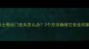 哈士奇出门走失怎么办3个方法确保它安全回家
