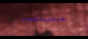 大连哪里可以买哈士奇