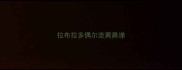 拉布拉多偶尔流黄鼻涕