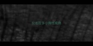 拉布拉多小狗性成熟