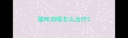 猫咪泪眼怎么治疗