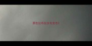 黑色拉布拉多毛变色