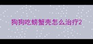 狗狗吃螃蟹壳怎么治疗