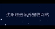 沈阳赠送领养宠物网站