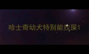 哈士奇幼犬特别能拉屎