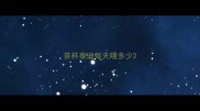 茶杯泰迪每天喂多少