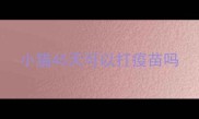 小猫45天可以打疫苗吗