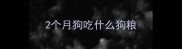 2个月狗吃什么狗粮