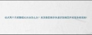 幼犬两个月频繁呕吐白沫怎么办资深兽医教你快速识别病因并采取急救措施