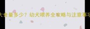 比熊犬2个月大食量多少幼犬喂养全攻略与注意事项附食谱