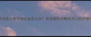 五个月大哈士奇牙龈出血怎么办资深兽医详解幼犬口腔护理全攻略
