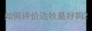 如何评价边牧是好狗