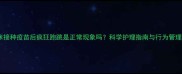 猫咪接种疫苗后疯狂跑跳是正常现象吗科学护理指南与行为管理全
