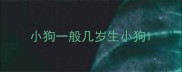 小狗一般几岁生小狗