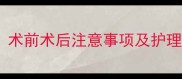 猫咪指甲拔除手术全术前术后注意事项及护理指南附真实案例