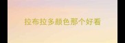 拉布拉多颜色那个好看