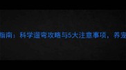 哈士奇遛弯指南科学遛弯攻略与5大注意事项养宠新人必看