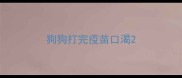 狗狗打完疫苗口渴