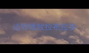边牧德牧拉布拉多