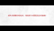 成年犬频繁扑咬幼犬背后的7大诱因及应对指南