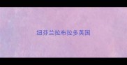 纽芬兰拉布拉多英国