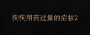 狗狗用药过量的症状