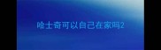 哈士奇可以自己在家吗