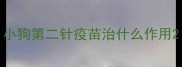 小狗第二针疫苗治什么作用