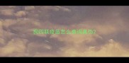 狗四联疫苗怎么查询真伪