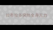 拉布拉多突然全身无力