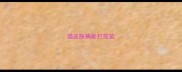 猫皮肤病能打疫苗