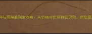 拉布拉多犬纯种与混种鉴别全攻略从价格对比到特征识别助您避开星期狗陷阱