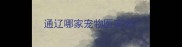 通辽哪家宠物医院好