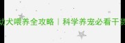 五个月阿拉斯加幼犬喂养全攻略科学养宠必看干货新手家长速存