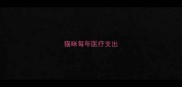 猫咪每年医疗支出