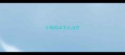 小狗拉血怎么治疗