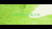 边牧突然总流口水