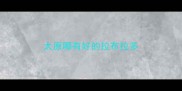 太原哪有好的拉布拉多